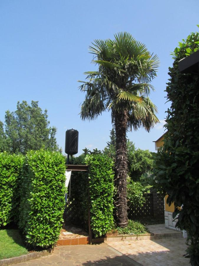 Apartments Zvezdica*** With Garden Zambratija  Esterno foto